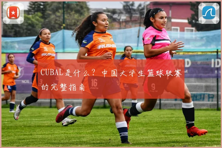 CUBAL是什么？中国大学生篮球联赛的完整指南