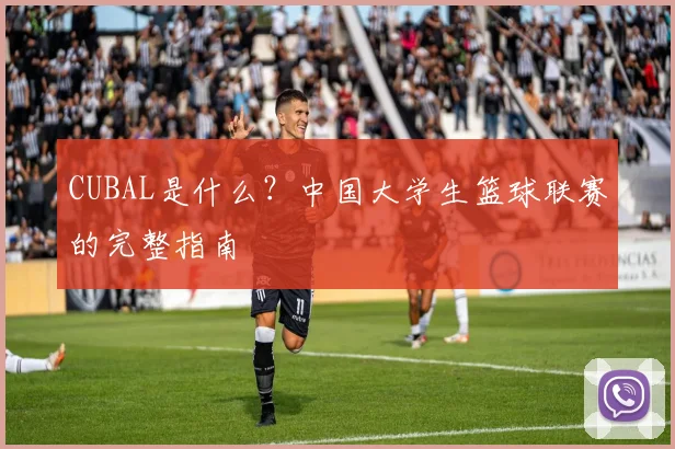 CUBAL是什么？中国大学生篮球联赛的完整指南